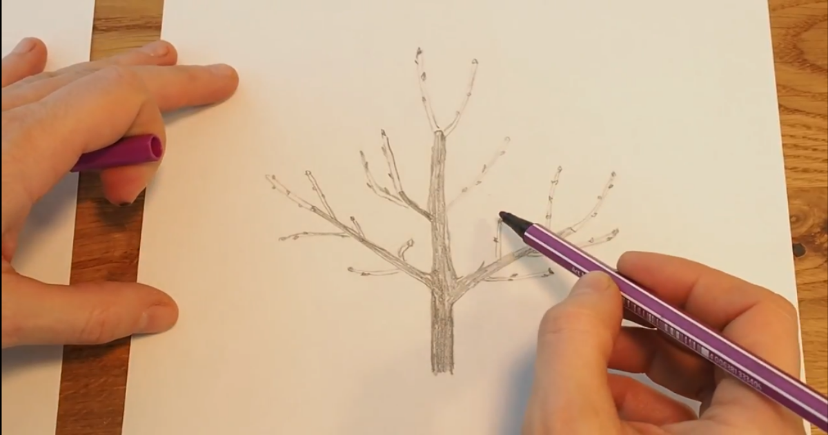 How To Prune Young Fruit Trees Homegrid